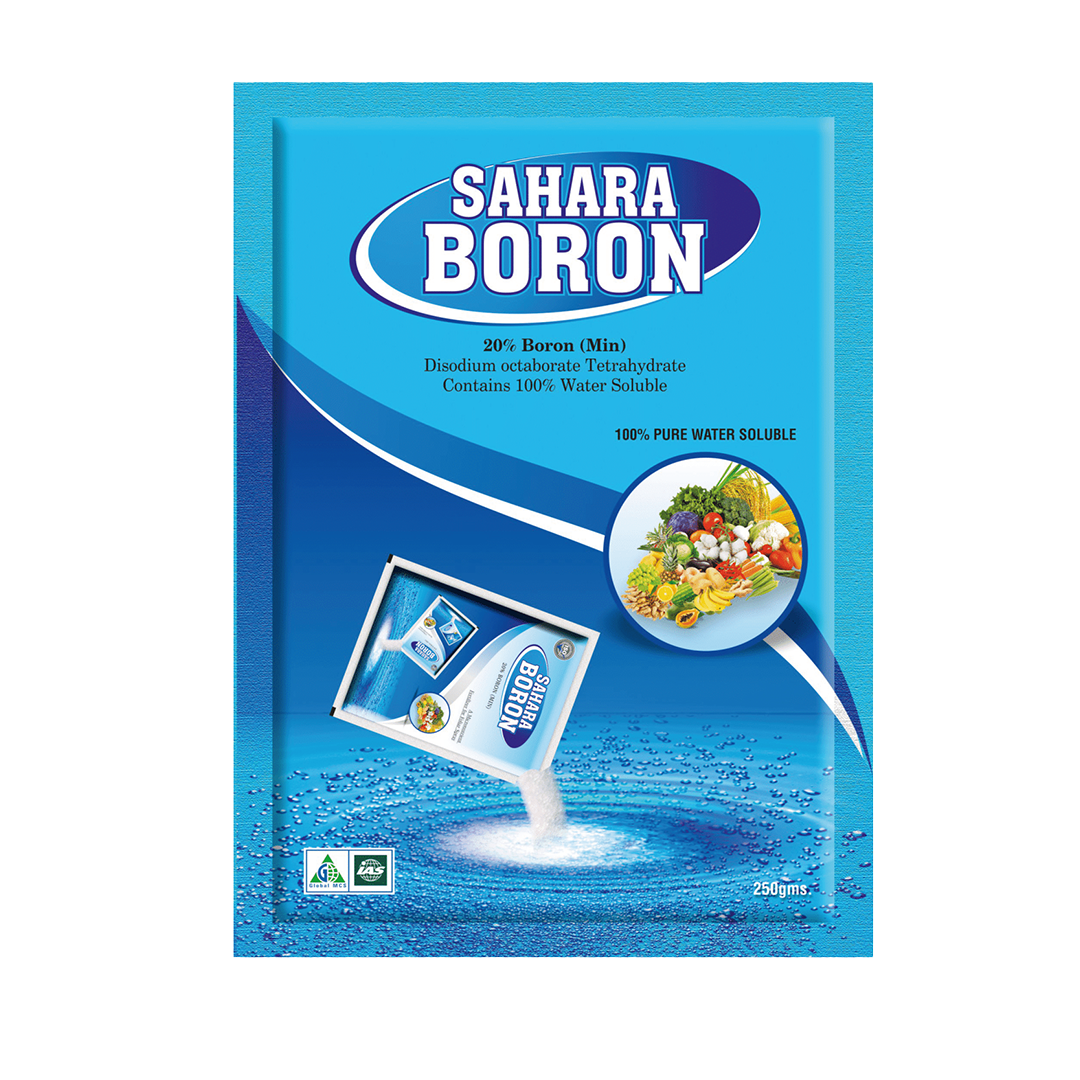 SAHARA-BORON