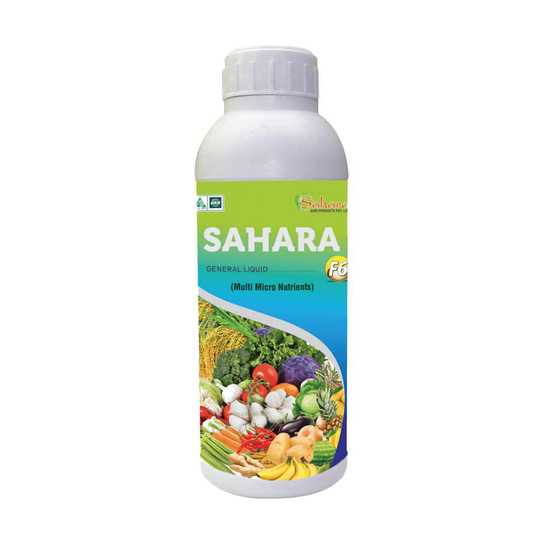 SAHARA-F6