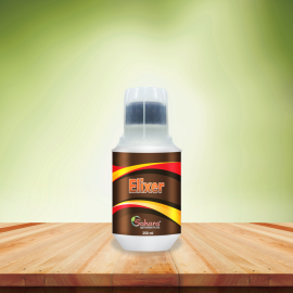 ELIXER
