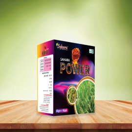 SAHARA POWER