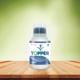 TOPPER