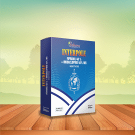 INTERPOLE