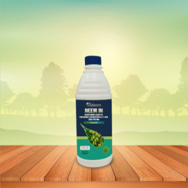 NEEM IN